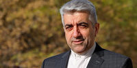 حرف عجیب وزیر نیرو در باره معامله ایران و روسیه