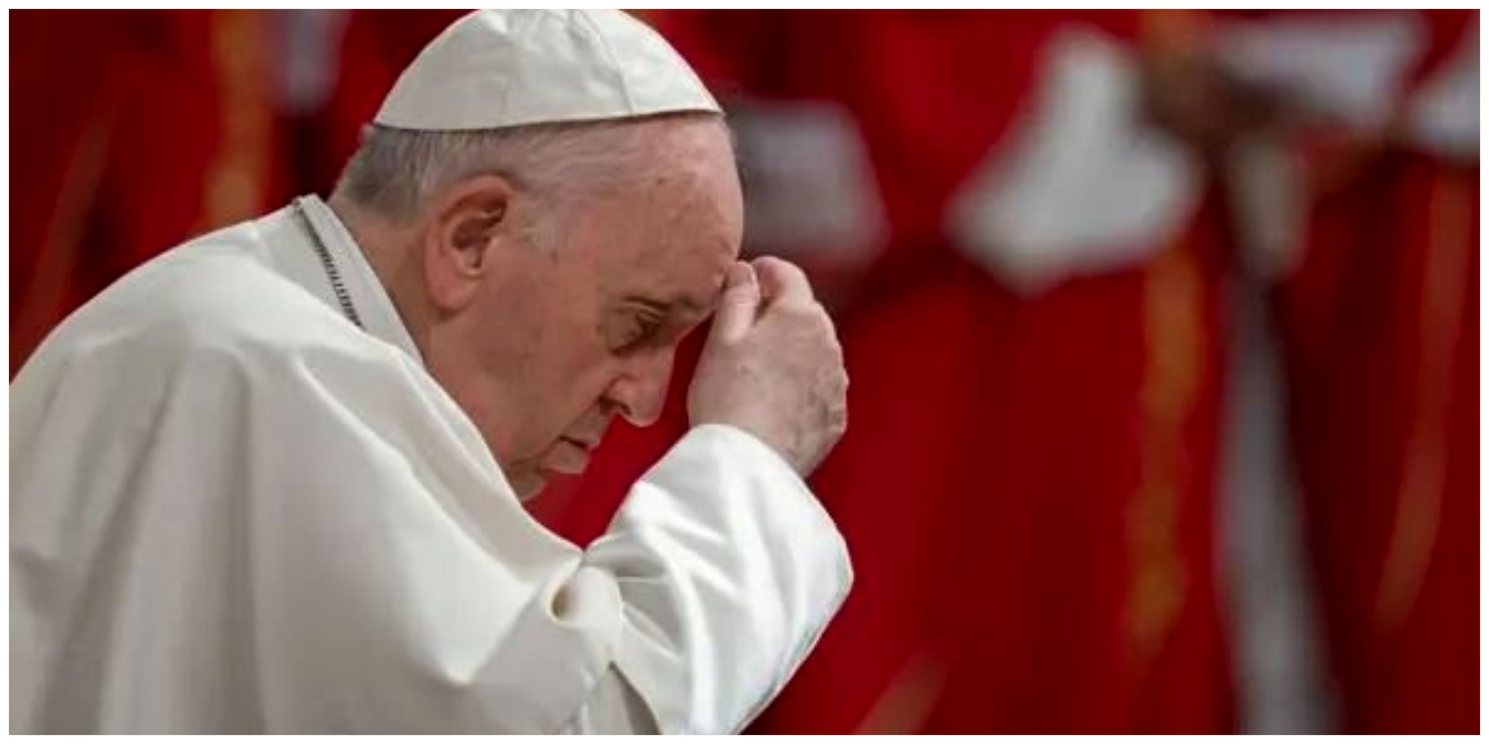 پاپ فرانسیس: منطق جنگ پوچ است / جایی در دنیا برای صلح باقی نمانده است
