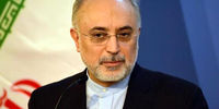 اهداف سفر مدیرکل آژانس بین‌المللی انرژی اتمی به ایران