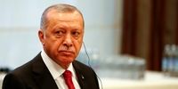 اردوغان خطاب به پوتین: ترکیه را با سوریه تنها بگذارید