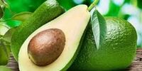 نجات بشریت از خطری مرگبار با دانه های میوه آووکادو