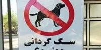 سگ‌گردانی در یک شهرستان دیگر ممنوع شد