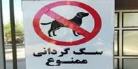 پس لرزه ممنوعیت سگ گردانی/ روزنامه زاکانی: فعلا این قانون را اجرا نکنید زیرا.../ پاس گل به خناس‌ها ندهیم
