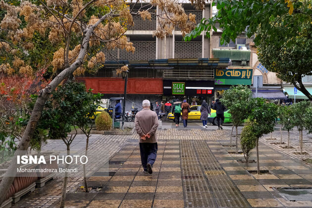 62079638_Bolandi-2-of-11-