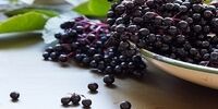 خوراکی هایی که باعث مرگ ناگهانی می شوند !
