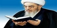 آیت‌الله العظمی فاضل لنکرانی عزادار شد