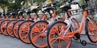 دوچرخه سواری درلیست اولویت های مدیریت شهری جدید
