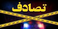 ورود ناگهانی الاغ به آزادراه قزوین-رشت حادثه آفرید/ ۹ خودرو تصادف کردند