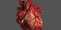 آیا قلب هم به سرطان مبتلا می‌شود؟

