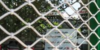 نگاه سکه بازان به قیمت دلار/پیش بینی قیمت سکه