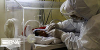 علت فوت نوزاد حادثه بیمارستان امام سجاد مشخص شد