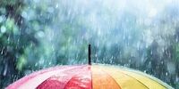 امروز و فردا آسمان بارانی است /افزایش دمای هوا از روز 5 شنبه