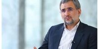 معاون پارلمانی جدید پزشکیان برای اولین بار به مجلس رفت