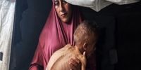 دروغ اسرائیل درباره دزدیده شدن کالاها در غزه توسط حماس/ نیویورک تایمز: هیچ مدرکی دال بر سرقت وجود ندارد!