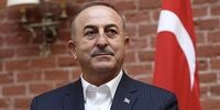 الهام گرفتن وزیرخارجه ترکیه از شعر سهراب سپهری+ فیلم