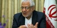 بادامچیان: انتخابات پرماجرا و سنگینی خواهیم داشت