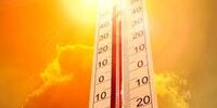 این معجزه‌گران پوستی در گرمای تابستان را بشناسید