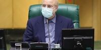 قالیباف هدف قانون «حمایت از خانواده» را شرح داد