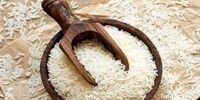 قیمت جدید برنج در بازار /برنج هاشمی کیلویی چند؟