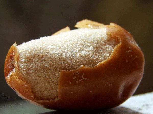 میوه ای که سلامت قلب و استخوان ایرانی ها را تضمین می کند