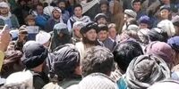  تنها فرمانده شیعه طالبان به دست طالبان کشته شد