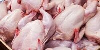 قیمت مرغ امروز 26 مهر 1401