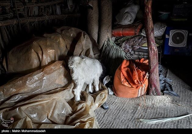 مدرسه کپری در سیستان و بلوچستان