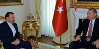 دیدار واعظی و رجب طیب اردوغان