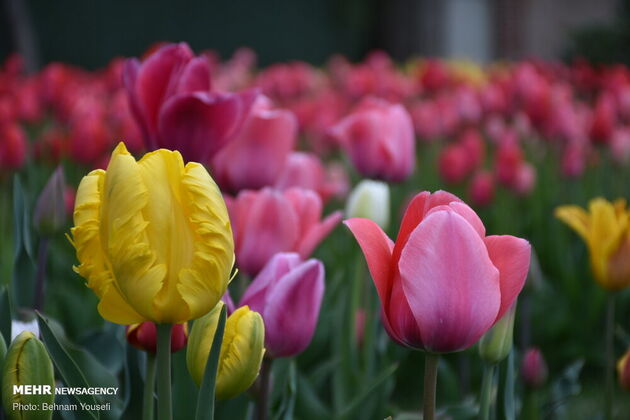 3739250_DSC_2895