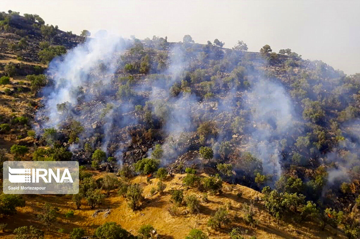 گزارش تصویری آتش‌سوزی جنگل‌های خائیز