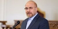 هیچ کدام از نمایندگان به اندازه من در مجلس وقت نمی‌گذارند!