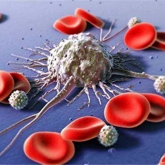 کشفیات تازه در مورد نابودی سلول های سرطانی