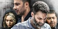 یک جایزه جهانی دیگر برای «متری شیش و نیم»