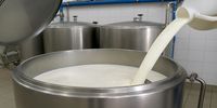 کارگاه های لبنیاتی شیر را چگونه نگهداری می کنند؟