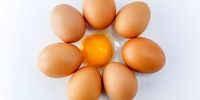 این تخم مرغ ها برای بدن مفیدتر هستند 