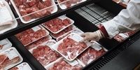 سیگنال نگران‌کننده به قیمت گوشت+ سند
