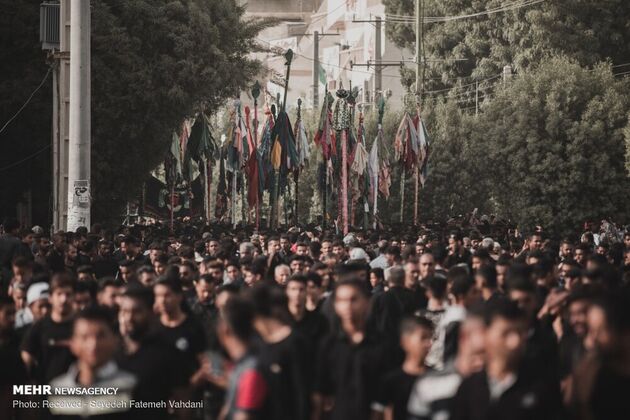 تصاویر برگزاری آیین « علم پیغمبر» در میناب