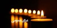دستور هیأت دولت/ فردا در کشور عزای عمومی است