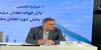 سعدمحمدی: با ساختار سنتی نمی‌توان در صنعت و معدن بلندپروازی کرد | ایران تنها کشوری است که متولی اکتشاف آن سازمان زمین‌شناسی است | کسی نمی‌داند در حوزه اکتشاف چه کارهایی انجام می‌شود