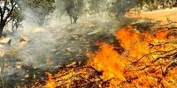 هشدار به مسافران گیلان درباره آتش‌سوزی جنگل‌ها 