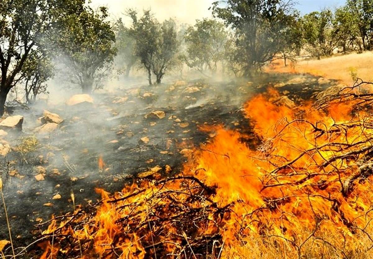 هشدار به مسافران گیلان درباره آتش‌سوزی جنگل‌ها 