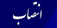 وزیر کار حکم جدید صادر کرد/  سرپرست سازمان آموزش فنی و حرفه‌ای کشور منصوب شد