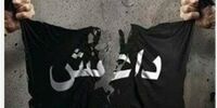 توزیع «کارت ورود به بهشت» بین نیروهای داعش!