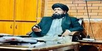داعش یک مسئول «جمعیت علمای اسلام» را در پاکستان ترور کرد