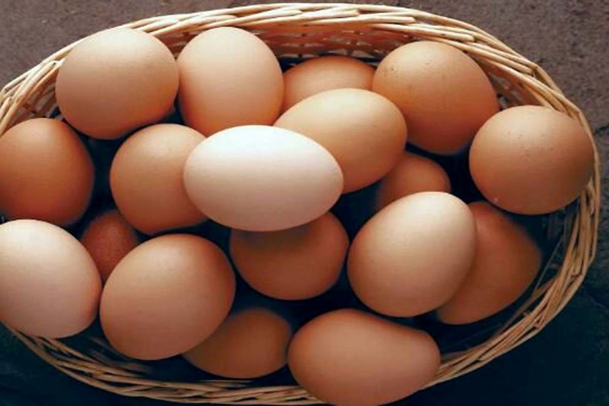 با این روش تخم مرغ ها را درست بشورید 