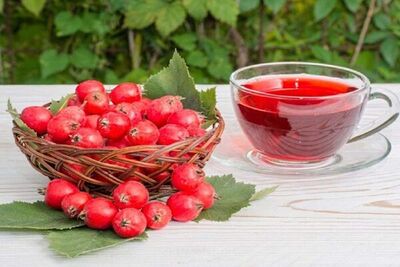 این میوه پاییزی درمان عفونت‌های ریه است