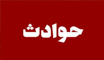 شکارچی 4 قلاده روباه در یک روستای چالوس روانه زندان شد