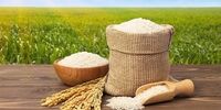 حذف برنج از سبد خانوار کیلد خورد؛ تورم بیش از ۲۲۵ درصدی فقط در یکسال/ سرانه مصرف برنج 10 کیلو کم شد