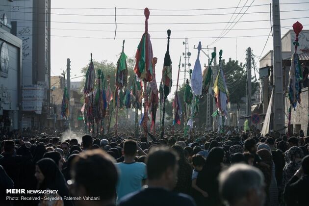 تصاویر برگزاری آیین « علم پیغمبر» در میناب