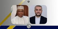 جزئیات رایزنی امیرعبداللهیان با دبیرکل سازمان همکاری اسلامی